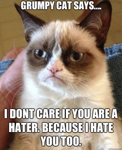 Grumpy Cat