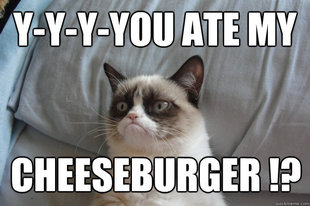 GrumpyCatOL
