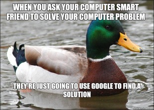 Actual Advice Mallard