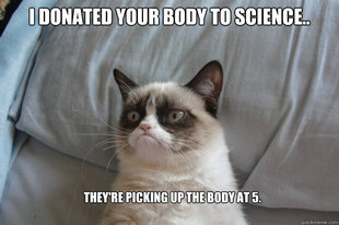 GrumpyCatOL