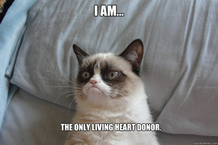 GrumpyCatOL