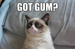 GrumpyCatOL