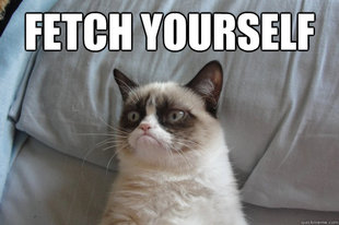 GrumpyCatOL