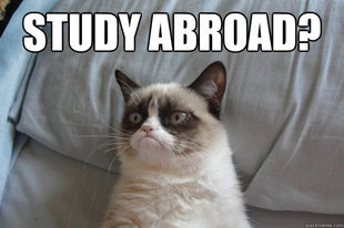 GrumpyCatOL