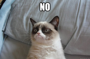 GrumpyCatOL