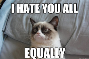 GrumpyCatOL