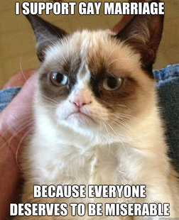 Grumpy Cat