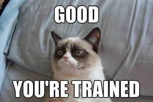 GrumpyCatOL