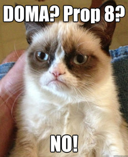 Grumpy cat