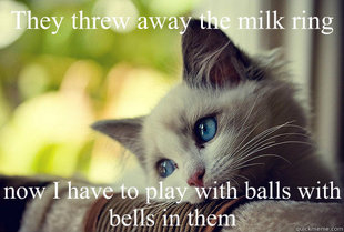 First World Cat Problems