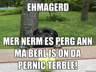 Berks Dog