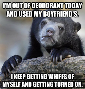 Confession Bear