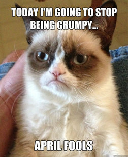 Grumpy Cat