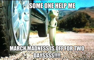 GEICO