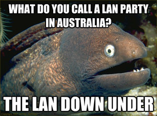 Bad Joke Eel