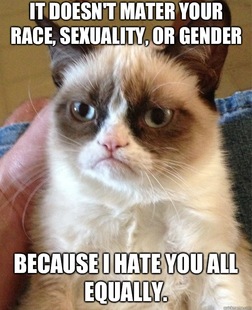 Grumpy Cat
