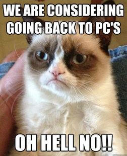 Grumpy cat