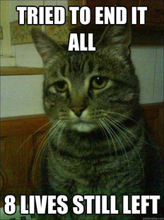 Depressed cat