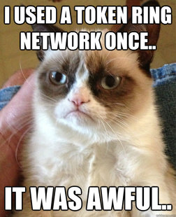 Grumpy cat