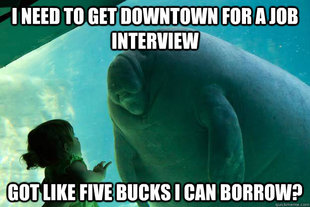 Overlord Manatee