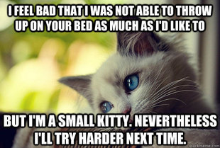 First World Cat Problems