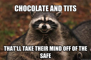 Evil Plotting Raccoon