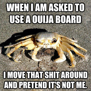 Confession Crab