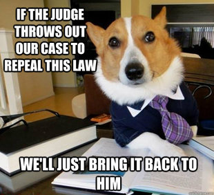 Lawyer Dog