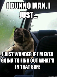 Introspective Pug