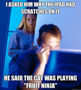 Redditors Wife