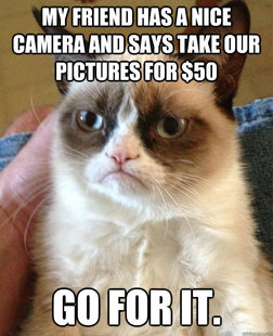 Grumpy cat