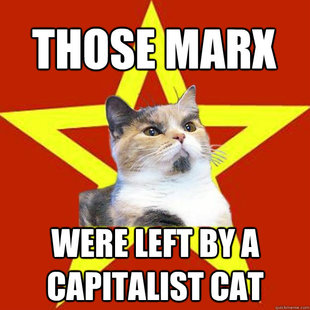 Lenin Cat