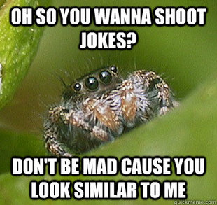 Misunderstood Spider