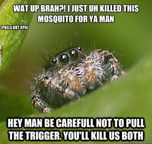 Misunderstood Spider