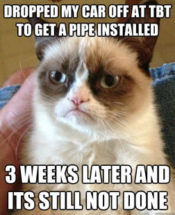 Grumpy cat