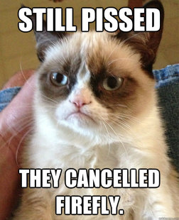 Grumpy cat