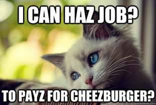 First World Cat Problems