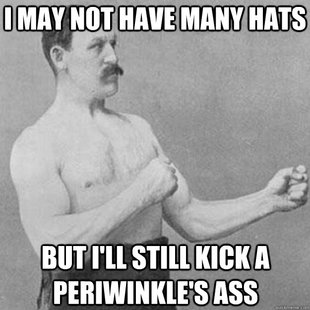 overly manly man