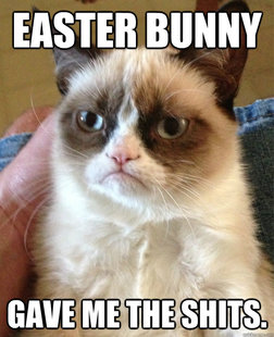 Grumpy cat