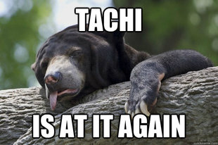 Excuses Bear