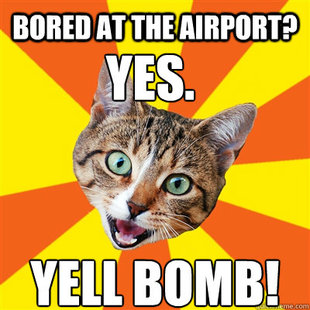 Bad Advice Cat