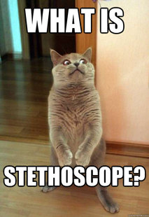 Horrorcat