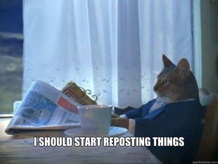 morning realization newspaper cat meme