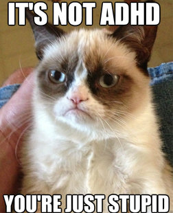 Grumpy cat