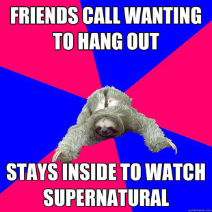 Math Major Sloth