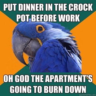 Paranoid Parrot