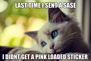 First World Cat Problems