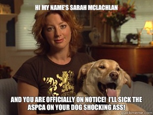 Sarah Mclachlan
