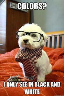 Hipster Dog