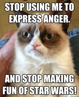 Grumpy cat